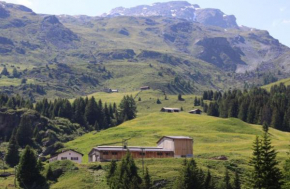 Albula